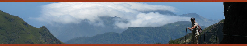 Picos